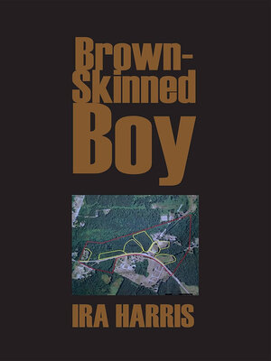 cover image of Brown-Skinned Boy